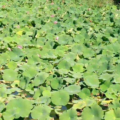 瞬间的永恒！！！