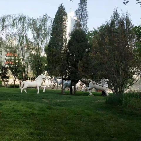 路在脚下，心在路上