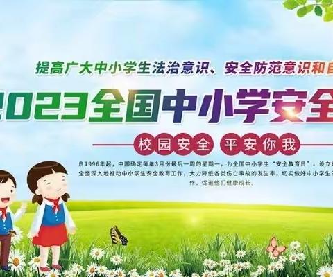 2023年全国中小学生安全教育周专题活动——普及安全知识         提高避险能力