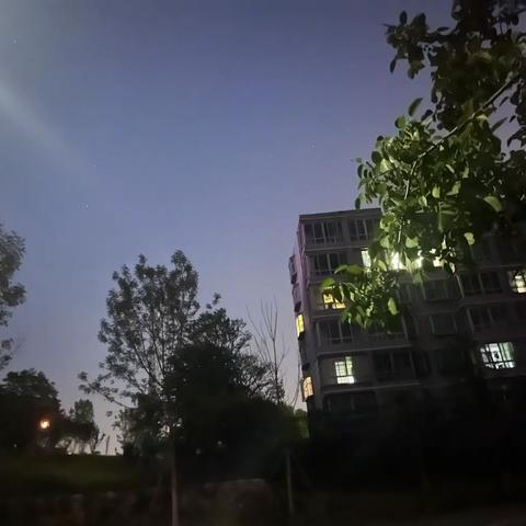 嘉禾幼儿园——小手拉大手疫情防控居家隔离比比看之四十九