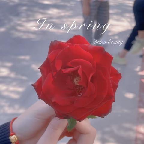 嘉禾幼儿园——小手拉大手疫情防控居家隔离比比看之三十七