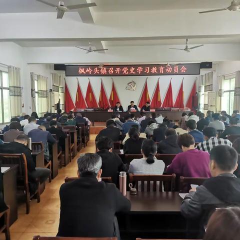 枫岭头镇围绕“十个一”吹响党史学习教育集结号