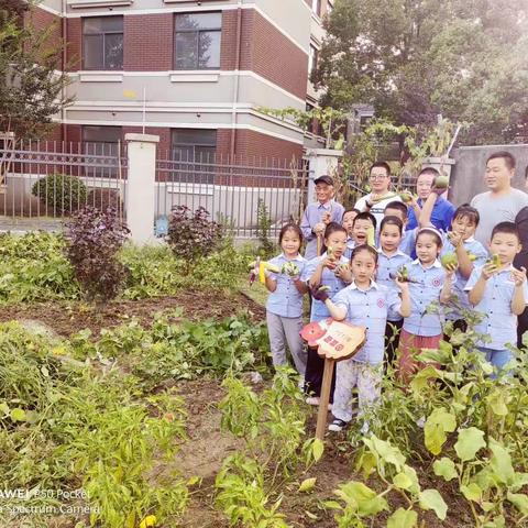 🌻快乐采摘 收获喜悦🍃