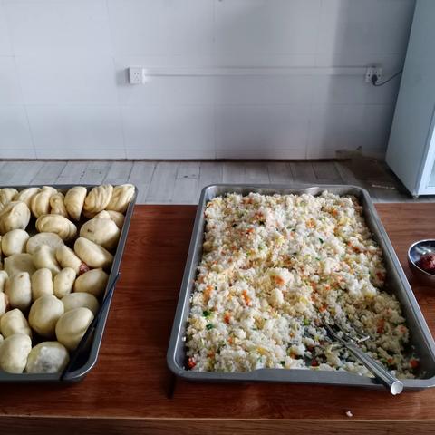 心养心成长实验第十五天