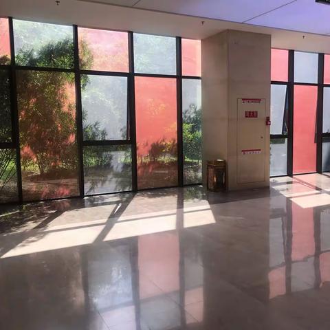 逝者已矣，生者如斯——为师母蔡老师送最后一程归来