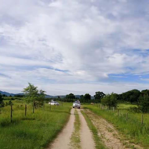 心养心成长实验第九天