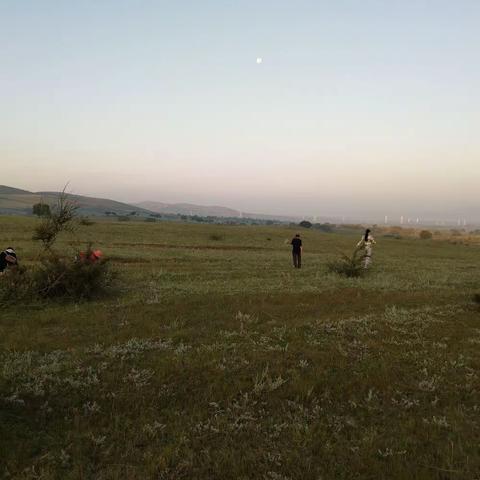 心养心成长实验第十天