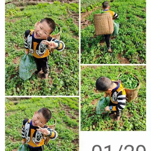 多彩寒假，不亦乐“虎” ——玉柴学校寒假实践活动