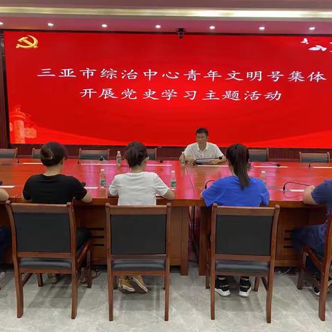 三亚市综治中心青年文明号集体开展党史学习主题活动