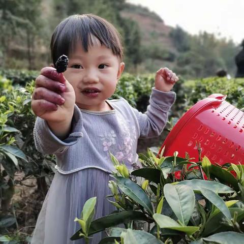 夏天宝贝～成长记👧👗🌸