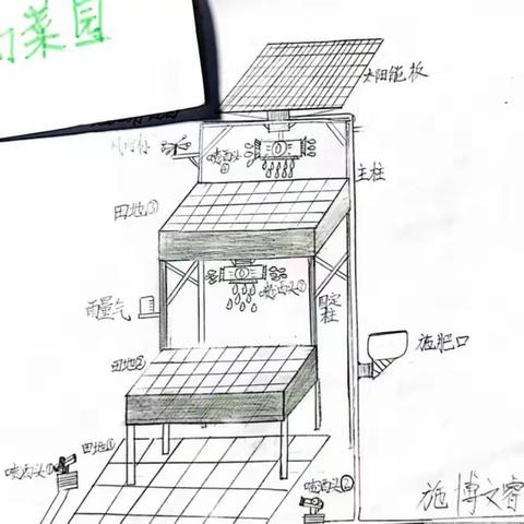 梦幻菜园——施博文睿