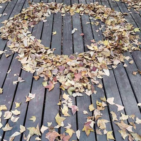 晚秋（11月24日）