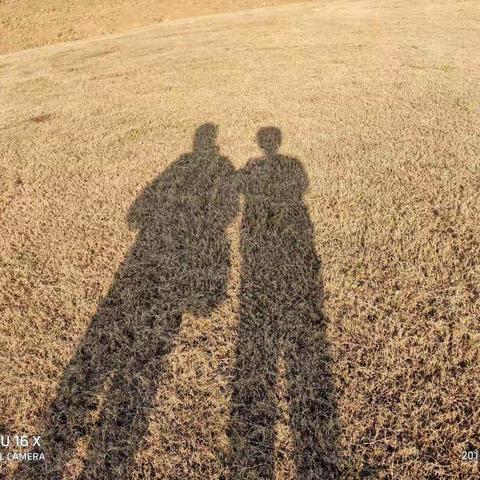 阳澄湖半岛游（2019年12月8日）