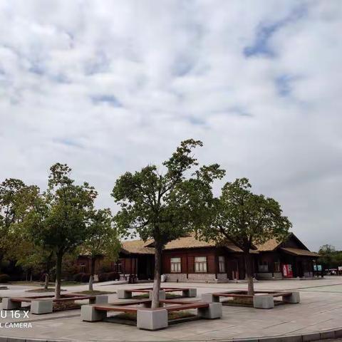 金秋粉黛行10月6日