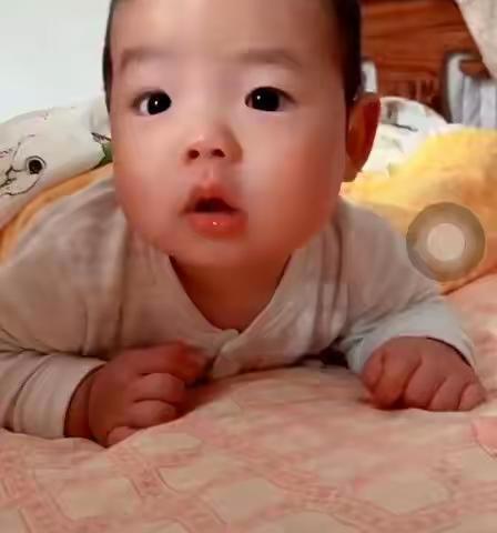 海鸿广告—张林13035331680的美篇