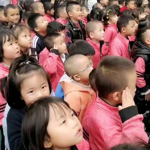 锦林幼儿园中五班第十周