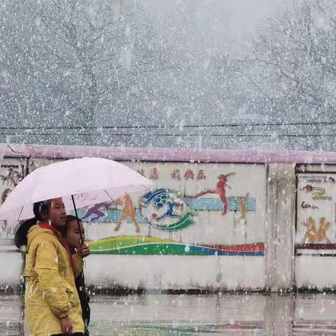 赏雪景 闻雪动 享雪趣