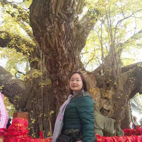 古树参天似龙盘，美女树下观龙颜，秋高气爽兴致高，千年树下留美颜。