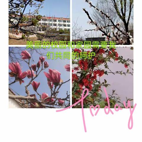 韩庄小学环保小卫士在行动