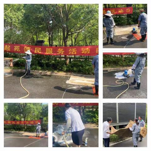 云起苑物业服务中心——便民活动