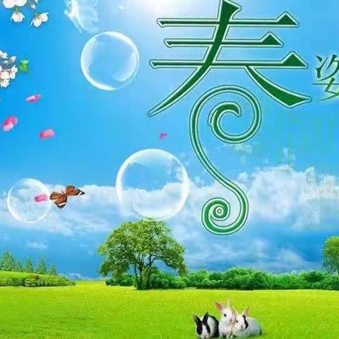 致兴华镇沟口小学全体师生的一封信