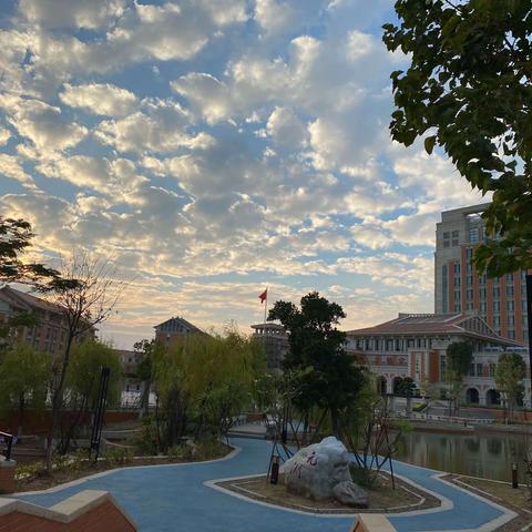 小戏骨演绎戏剧盛宴——养正中学第19届“我爱英语我敢秀”初一年“英语短剧”比赛