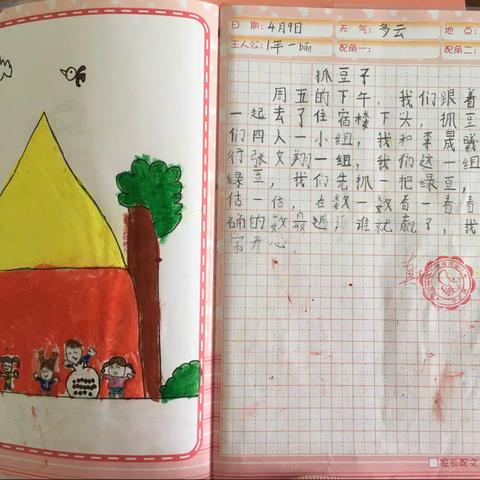 一花一草一世界，一周一画一总结