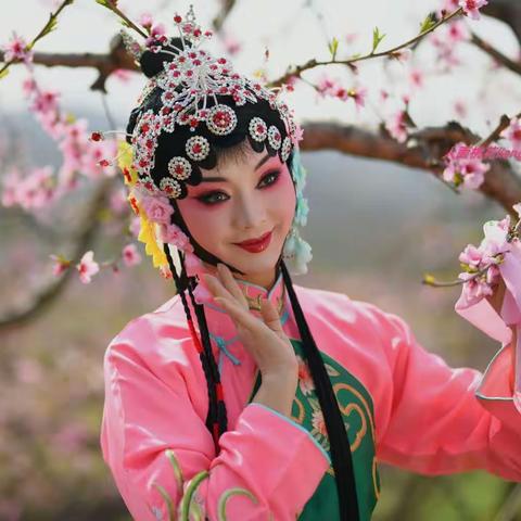人面桃花