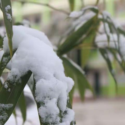 2018年的第一场雪