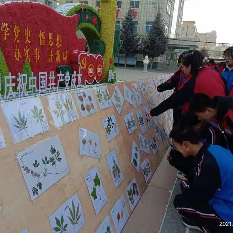 凝聚着师生心血的标本制作及展评活动终于画上了句号