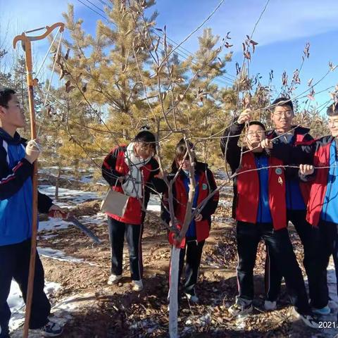 寒风冷雪里的紧张训练