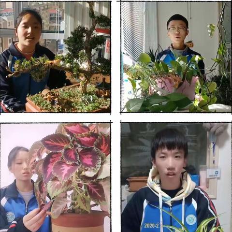 这门考查课，换个方式来考核