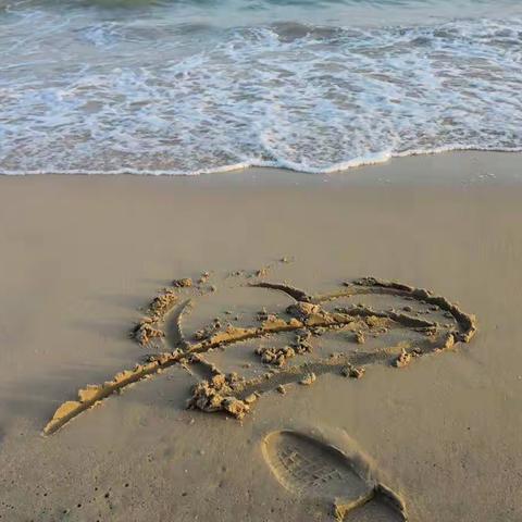 海南，一场与夏天邂逅的冬日之旅(二)因为爱情