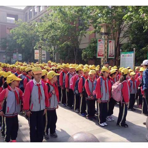 让我们一起触摸春天！——记大唐贡茶院研学旅行活动