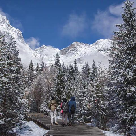 雪后双桥沟