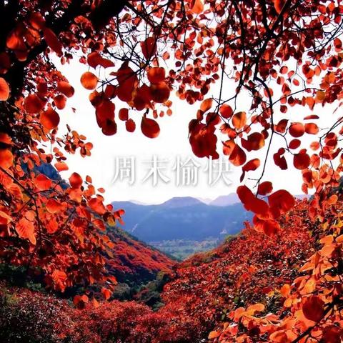 感恩日记 第二篇
