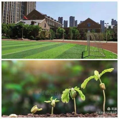 课堂展风采，赛课促成长—兴和湾小学优质课评比大赛