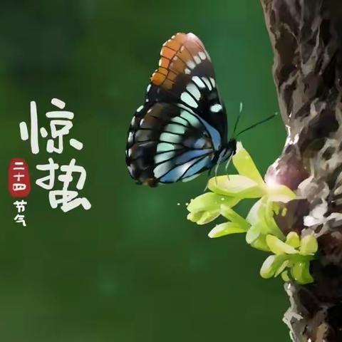 春雷惊响，万物生长——﻿                         惊蛰幼儿养生食谱推荐