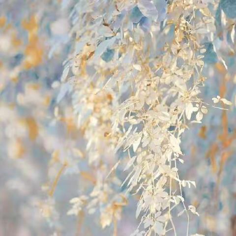 【机场路·线上·教育教学】“云”中守望，共“课”时艰～机场路小学三年级线上教学纪实（二）