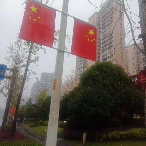 国庆中秋同庆，快乐体验生活____306班  杨子涵