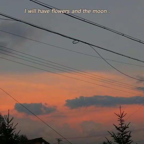 三年级五班靳有盈的暑假作业