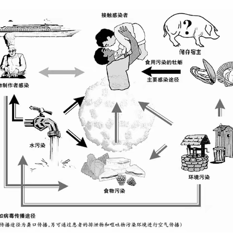 校园防疫：“诺如病毒”高发季，请家长重视！