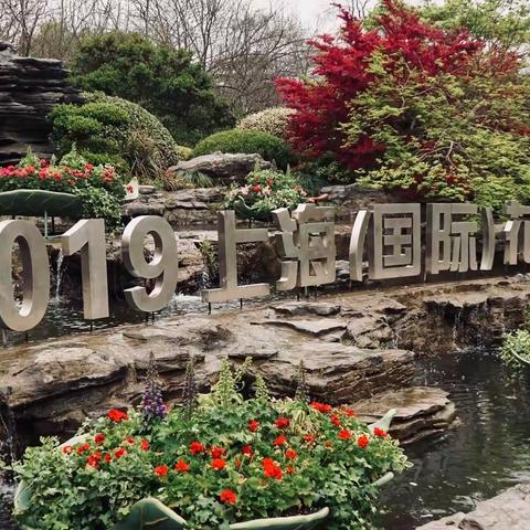 踏青赏花好心情