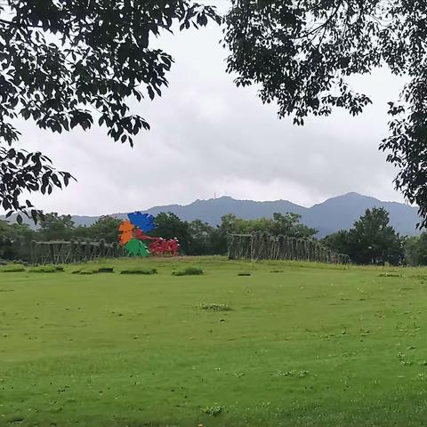 西溪湿地之四：雕塑园与绿堤