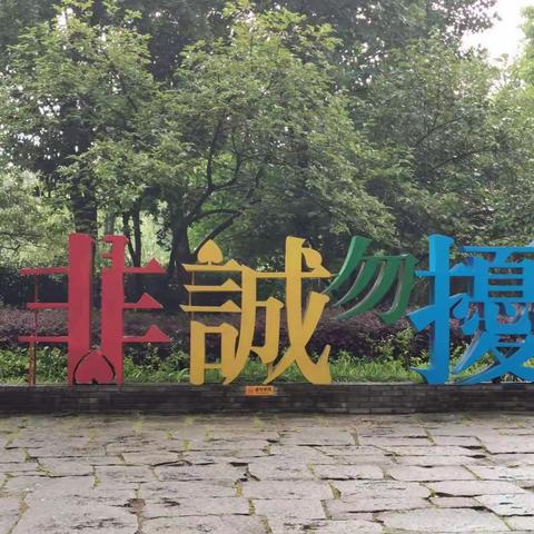 西溪湿地之三：雨中行