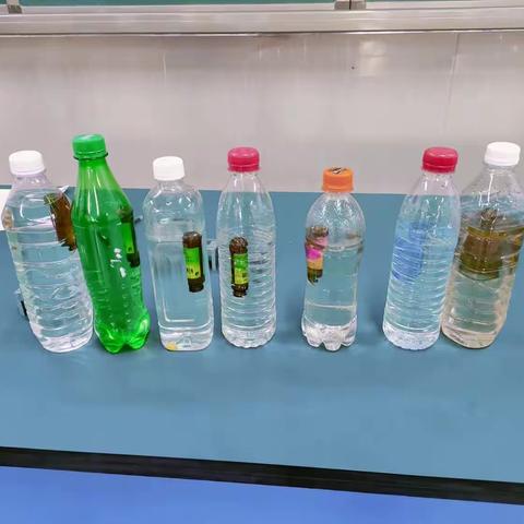 科技制作社团---乘科技之风，创心中佳作