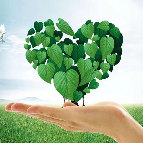 感恩有您“共建和谐美好家园”为建设和谐美好家园，我们一直砺砺前行着，2022年10—12月工作汇报。