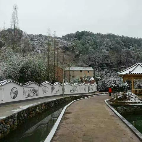 雪中景，雪中情