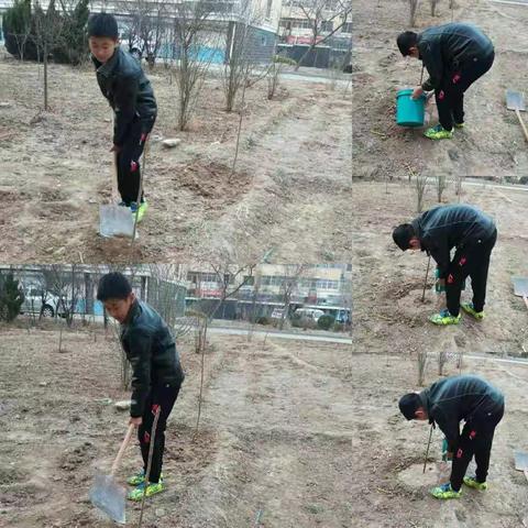 “种一棵小树，绿一方净土”——五五班植树节活动