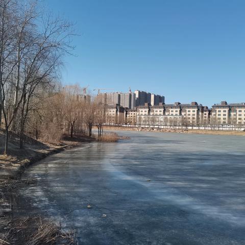 家门口的公园——马家湾湿地公园